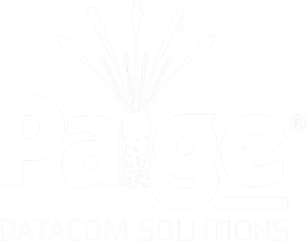 AiN Group Partner - Paige White New Logo